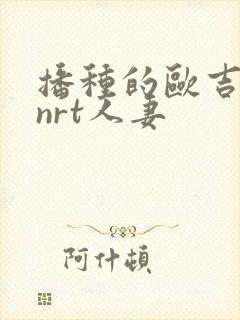 播种的欧吉桑与nrt人妻封面