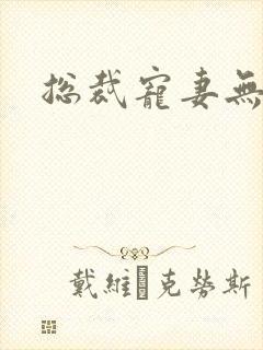 总裁宠妻无度封面