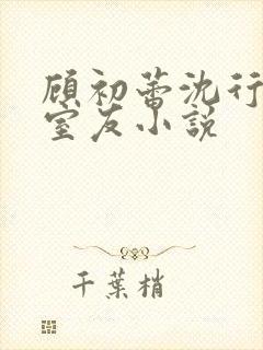 顾初蕾沈行合租室友小说