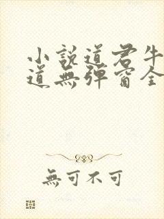 小说道君牛有_道无弹窗全文免费阅读