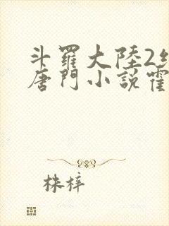 斗罗大陆2绝世唐门小说霍雨浩封面