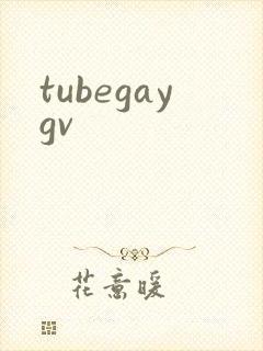 tubegaygv