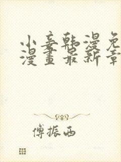 小妾韩漫免费看漫画最新章节