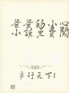 爸爸的小心肝儿小说免费阅读