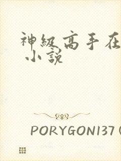 神级高手在都市 小说