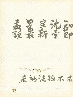 孟星宁沈知聿小说最新章节免费阅读封面