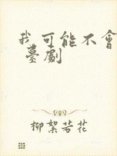 我可能不会爱你 台剧