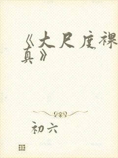 《大尺度裸体写真》封面