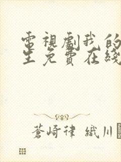 电视剧我的后半生免费在线观看