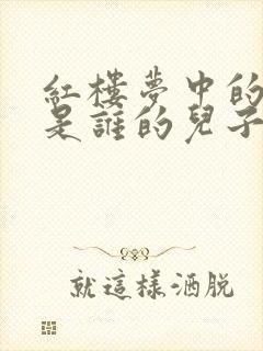 红楼梦中的贾芸是谁的儿子封面