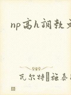 np高h调教文