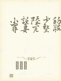 小说陆少的隐婚罪妻完整版