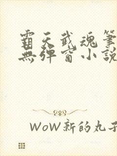 霸天武魂笔趣阁无弹窗小说