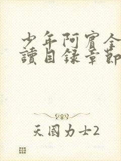 少年阿宾全文阅读目录章节视频