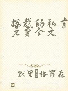 总裁的私有宝贝免费全文封面