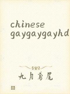 chinesegaygaygayhd