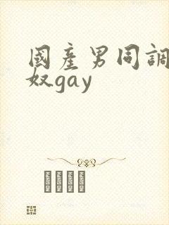 国产男同调教男奴gay