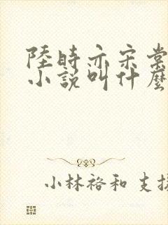 陆时亦宋棠原著小说叫什么