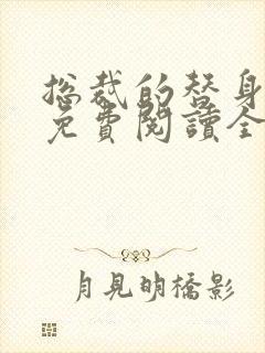 总裁的替身前妻免费阅读全文txt封面