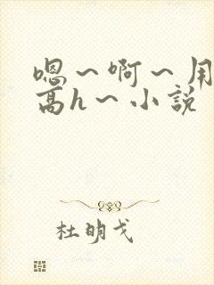 嗯～啊～用力～高h～小说