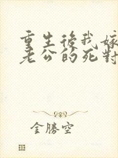 重生后我嫁给了老公的死对头 短剧