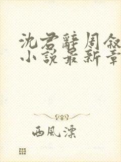 沈君辞周叙林雪小说最新章节免费阅读封面