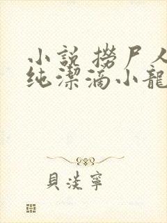 小说 捞尸人 纯洁滴小龙