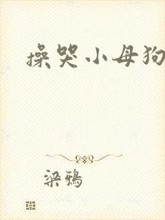 操哭小母狗封面