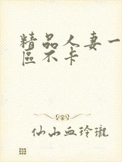 精品人妻一区二区不卡