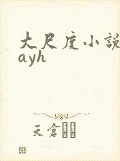 大尺度小说playh封面