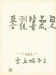 亚洲精品日韩综合观看成人91