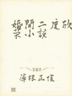 婚开二度欣欣向荣小说