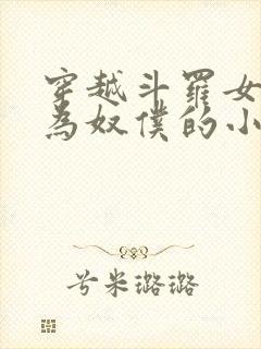 穿越斗罗女人变为奴仆的小说