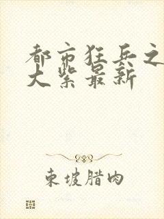 都市狂兵之大红大紫最新