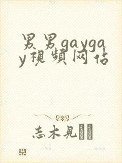 男男gaygay视频网站封面
