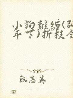 小狗难缠(师生年下)折枝全文免费阅读