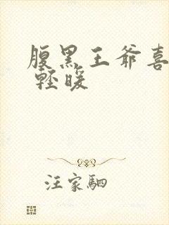 腹黑王爷喜当爹 轻暖封面