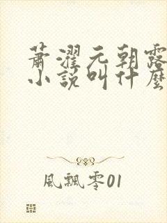 萧濯元朝露原著小说叫什么封面