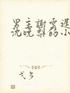 男主谢云迟女主沈晚梨的小说免费阅读