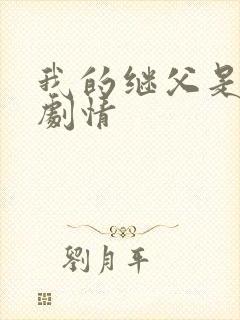 我的继父是偶像剧情