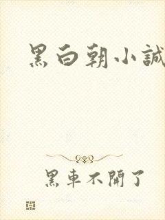 黑白朝小诚