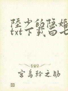 陆少的隐婚罪妻txt下载白七诺封面