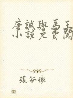 唐诚与马玉婷的小说免费阅读