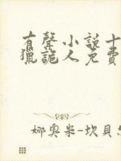 有声小说十四年猎诡人免费听