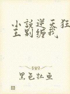 小说逆天狂妃邪王别缠我