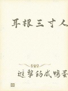 耳根三寸人间封面