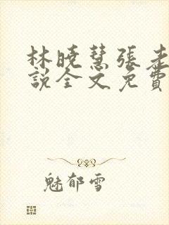 林晓慧张老头小说全文免费阅读最新