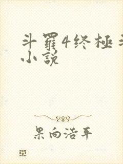斗罗4终极斗罗小说