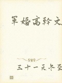 军婚高干文推荐封面