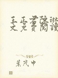 王正君陈琳洁全文免费阅读最新章节封面